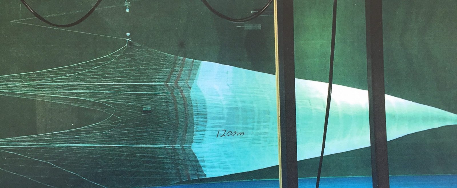 Photo Cred: Eduardo Grimaldo