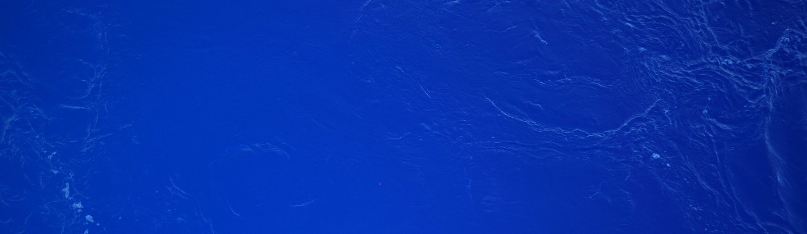 Photo: Guro Møen Tveit, SINTEF Ocean