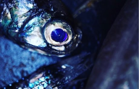 Photo Cred: Guro Møen Tveit