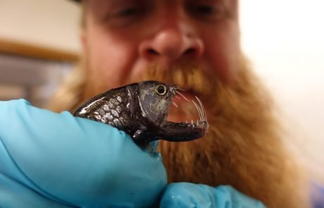 Photo Cred: Leif Grimsmo, SO