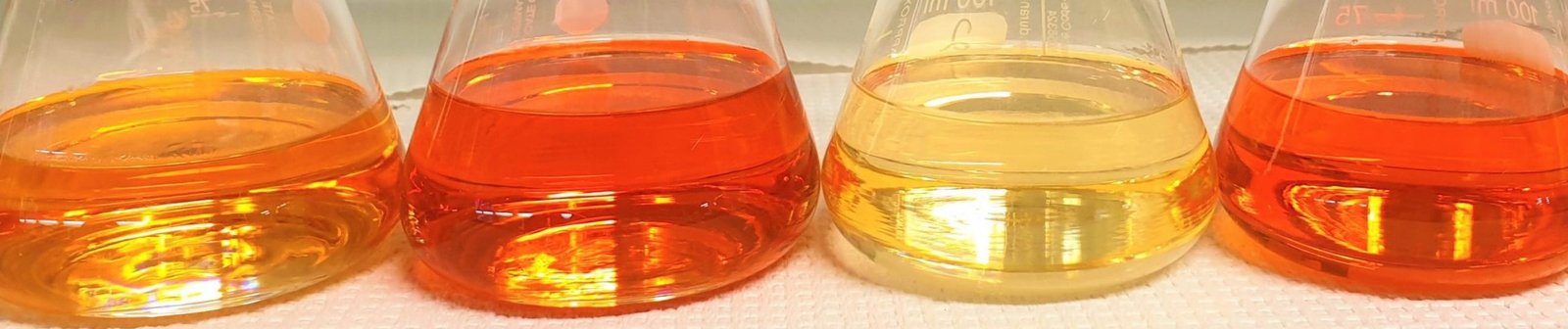 Photo cred: Merethe Selnes, SO