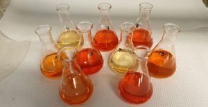 Photo cred: Merethe Selnes