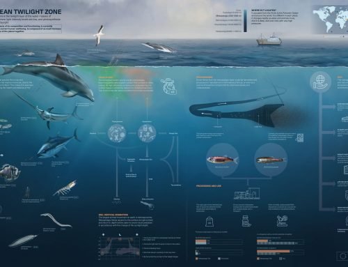 The Ocean Twilight Zone – Infographic