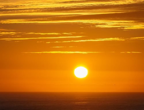 Why are there less mesopelagic fish towards the Arctic?