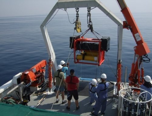 Mesopelagic fishes in a hurry