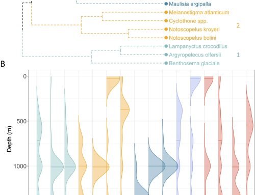 New Publication! Trophic specialization structures the fish community in Bay of Biscay